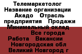 Телемаркетолог › Название организации ­ Акадо › Отрасль предприятия ­ Продажи › Минимальный оклад ­ 30 000 - Все города Работа » Вакансии   . Новгородская обл.,Великий Новгород г.